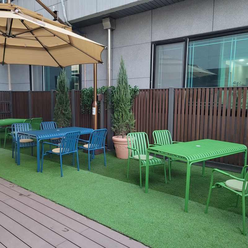 이선미님의 장터 판매 상품 [블루엔젤 포트 묘목 50주] 첨부 사진