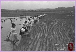 알 수 없음님의 자유주제 · 자유게시판 작성글 사진