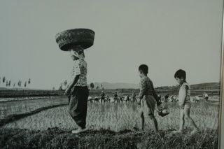 알 수 없음님의 자유주제 · 자유게시판 작성글 사진