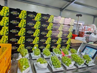 손현순님의 2월 내 작물 자랑하기 · 참여글 작성글 사진