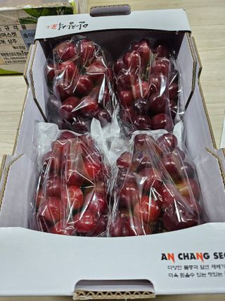 손현순님의 2월 내 작물 자랑하기 · 참여글 작성글 사진