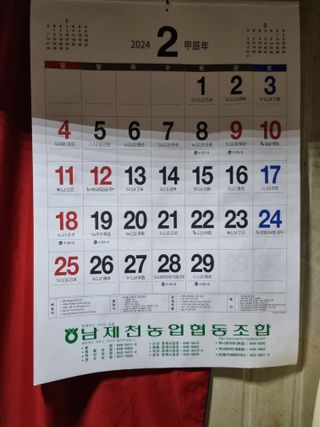 풍요님의 사과 · 묘목•접목 작성글 사진