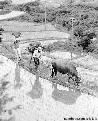 알 수 없음님의 자유주제 · 자유게시판 작성글 사진