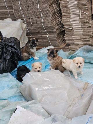 안성화님의 우리동네 · 동네수다 작성글 사진