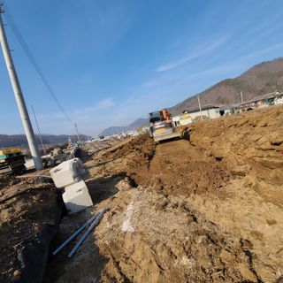 나무도깨비농원님의 사과 · 일상 작성글 사진