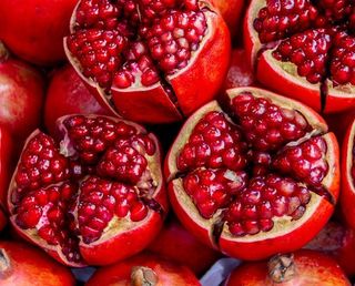 알 수 없음님의 기타작물 · 자유게시판 작성글 사진