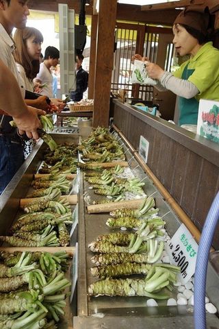알 수 없음님의 기타작물 · 자유게시판 작성글 사진