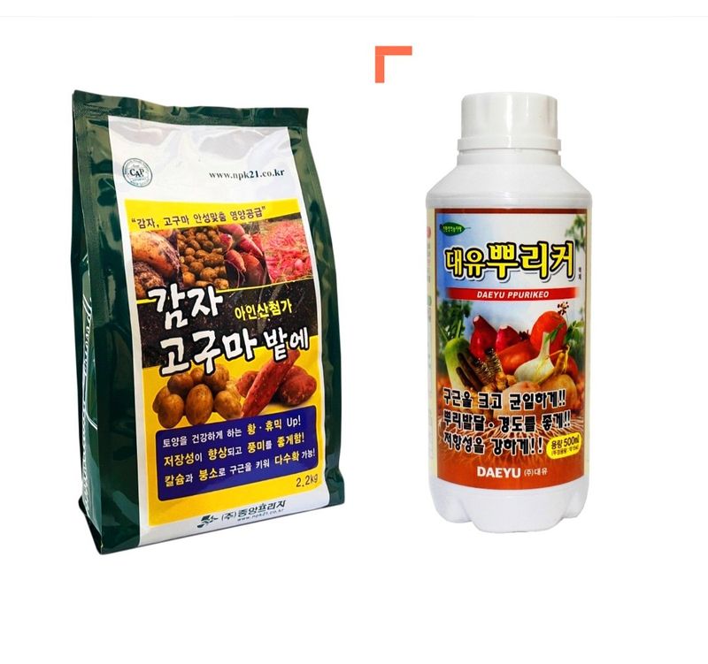 한농농약종묘사님의 장터 판매 상품 [감자 비료+감자 크게해주는 영양제] 첨부 사진