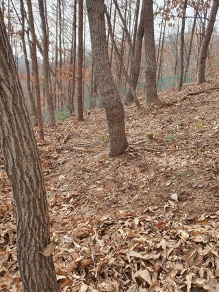 오동균님의 2월 내 작물 자랑하기 · 참여글 작성글 사진