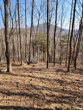 오동균님의 2월 내 작물 자랑하기 · 참여글 작성글 사진