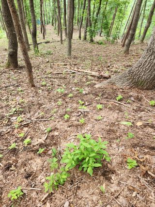 오동균님의 2월 내 작물 자랑하기 · 참여글 작성글 사진