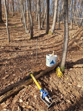 오동균님의 2월 내 작물 자랑하기 · 참여글 작성글 사진