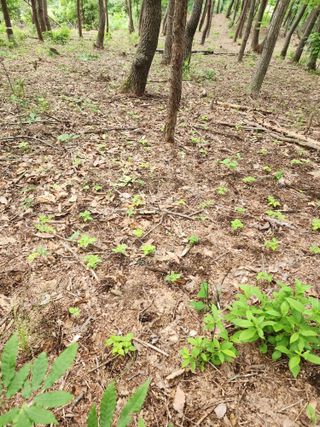 오동균님의 2월 내 작물 자랑하기 · 참여글 작성글 사진