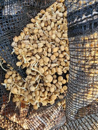 오동균님의 2월 내 작물 자랑하기 · 참여글 작성글 사진