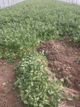 팜모닝 2월 내 작물 자랑하기·참여글 게시글 이미지