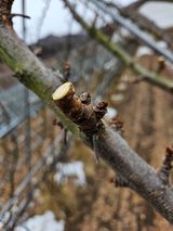 팜모닝 2월 내 작물 자랑하기·참여글 게시글 이미지