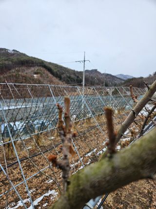 아홉사리 농장님의 2월 내 작물 자랑하기 · 참여글 작성글 사진
