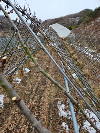 아홉사리 농장님의 2월 내 작물 자랑하기 · 참여글 작성글 사진