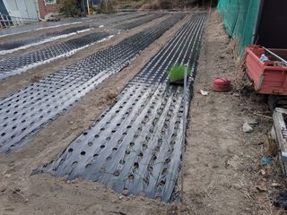 감자12530님의 2월 내 작물 자랑하기 · 참여글 작성글 사진