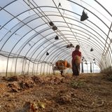 팜모닝 오이·자유게시판 게시글 이미지