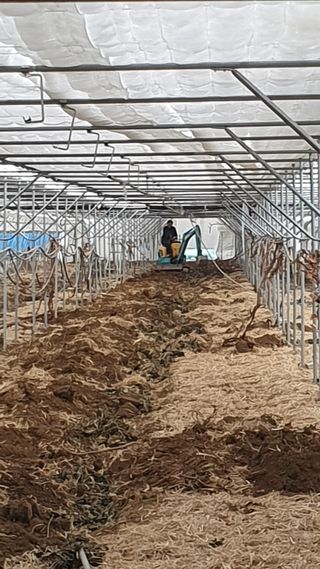 김인선님의 오이 · 자유게시판 작성글 사진