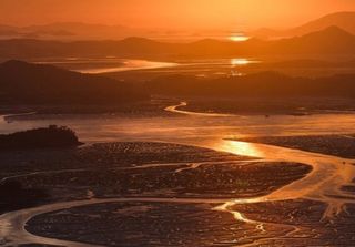 커피한잔의여유님의 작성글 사진