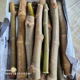 팜모닝 기타작물·자유게시판 게시글 이미지