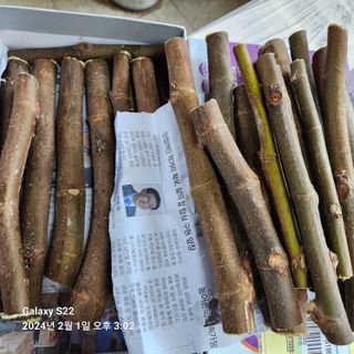 규봉님의 기타작물 · 자유게시판 작성글 사진