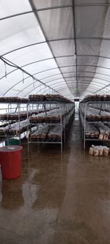 팜모닝 사과·일상 게시글 이미지