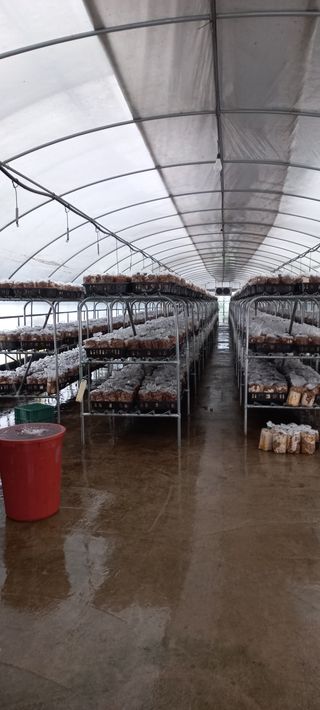 지은주 님의 사과 · 일상 작성글 사진