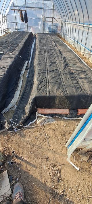 소농인님의 2월 내 작물 자랑하기 · 참여글 작성글 사진