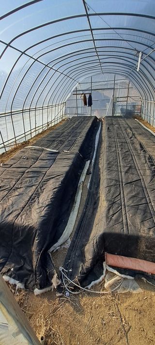 소농인님의 2월 내 작물 자랑하기 · 참여글 작성글 사진