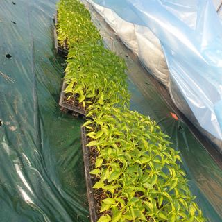 김혜순님의 자유주제 · 자유게시판 작성글 사진