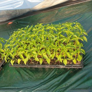 김혜순님의 자유주제 · 자유게시판 작성글 사진