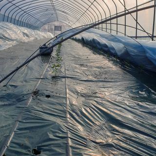 김혜순님의 자유주제 · 자유게시판 작성글 사진