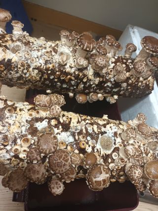 실로암농원님의 자유주제 · 자유게시판 작성글 사진