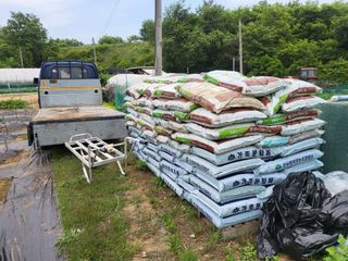 들꽃농장님의 자유주제 · 자유게시판 작성글 사진