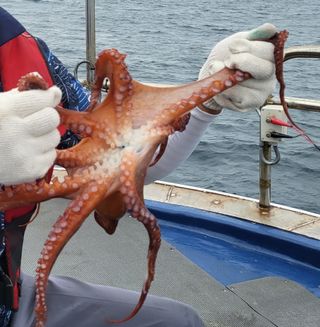 들꽃농장님의 자유주제 · 자유게시판 작성글 사진