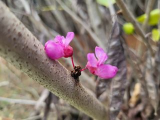 들꽃농장님의 자유주제 · 자유게시판 작성글 사진