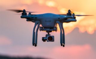 들꽃농장님의 자유주제 · 자유게시판 작성글 사진