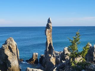 들꽃농장님의 자유주제 · 자유게시판 작성글 사진