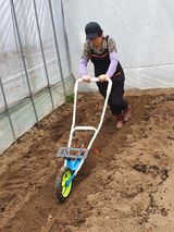 팜모닝 하우스정보·자유게시판 게시글 이미지