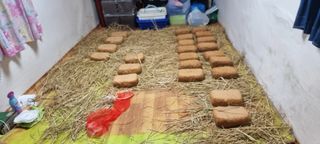 초보농민님의 2월 내 작물 자랑하기 · 참여글 작성글 사진