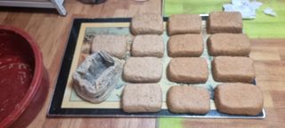 초보농민님의 2월 내 작물 자랑하기 · 참여글 작성글 사진