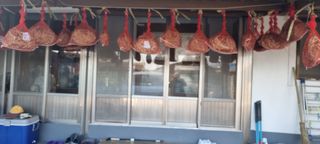 초보농민님의 2월 내 작물 자랑하기 · 참여글 작성글 사진