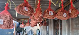 초보농민님의 2월 내 작물 자랑하기 · 참여글 작성글 사진