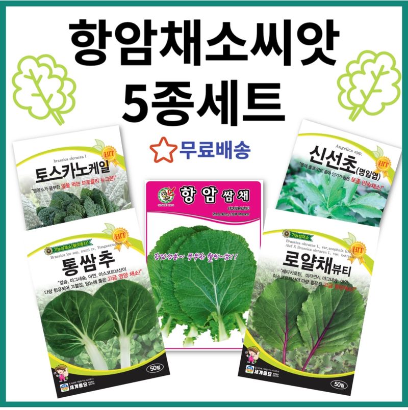 장터 상품 [[무료배송] 항암채소씨앗 5종세트 ] 썸네일