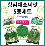 팜모닝 · 게시글 이미지