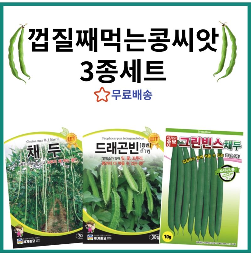 장터 상품 [[무료배송] 껍질콩 씨앗 3종세트 (그린빈스 채두 드래곤빈)] 썸네일