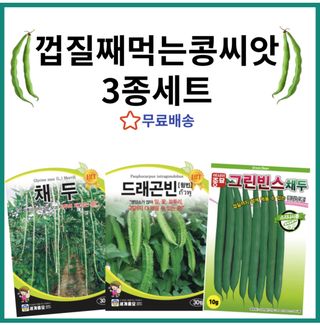 주주씨앗님의 작성글 사진